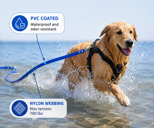 Laisse longue imperméable pour chien