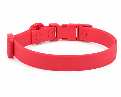 COLLIER POUR CHIEN WATERPROOF - CORAIL ECLATANT