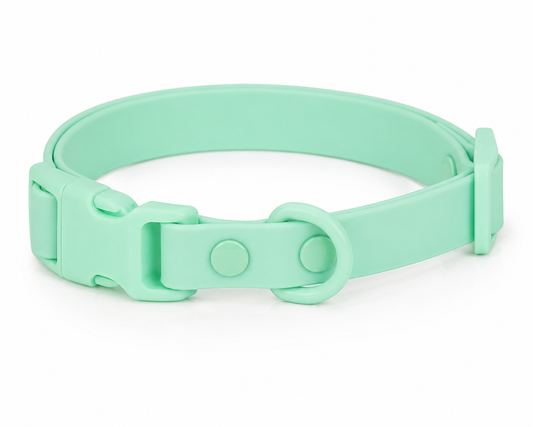 Collier Waterproof pour Chien - Couleur Menthe Givrée