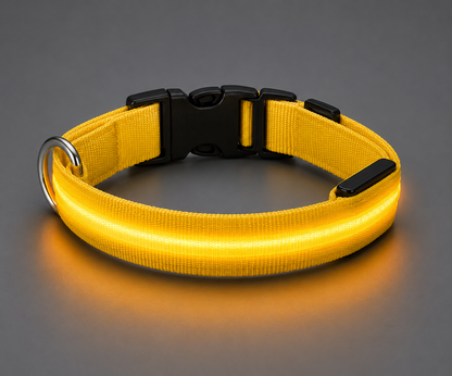 💛 LumiCollar™ – Collier LED Lumineux Jaune pour Chien 🐾✨