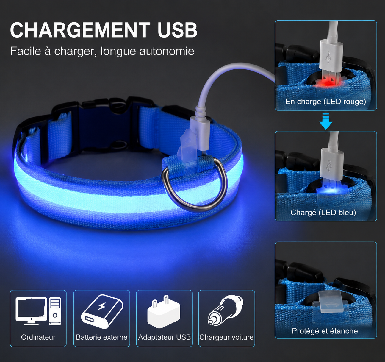 💙 LumiCollar™ – Collier LED Lumineux pour Chien 🐾✨