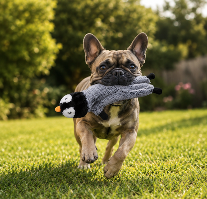 🐧 PenguinBuddy™ – Peluche Pingouin XXL pour Chien 🖤🐾