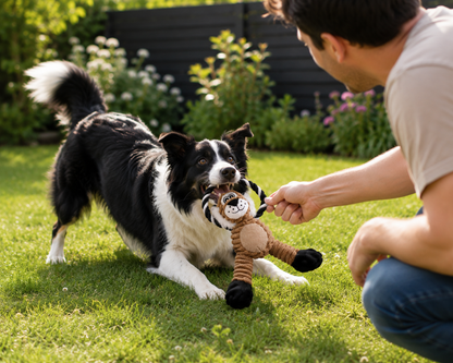 🐯 TigerRope™ – Jouet Corde & Peluche Tigre pour Chien 🧡🐾