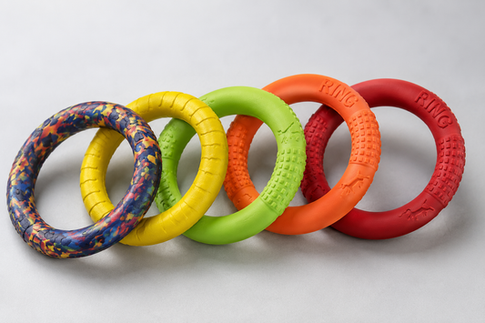 ANNEAU DE JEU FLOTTANT POUR CHIEN