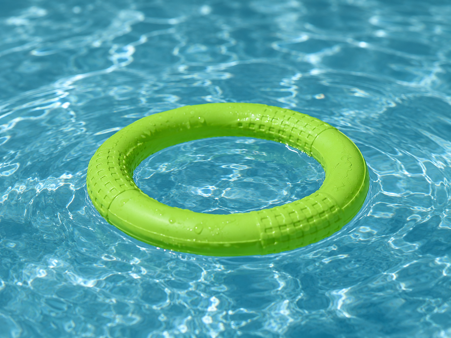 ANNEAU DE JEU FLOTTANT POUR CHIEN