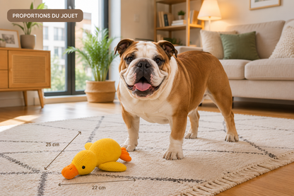 🐥 DuckBuddy™ – Peluche Canard pour Chien 💛🧸