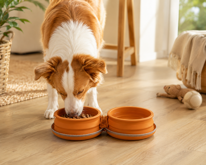 DOUBLE GAMELLE PORTABLE EN SILICONNE POUR CHIEN