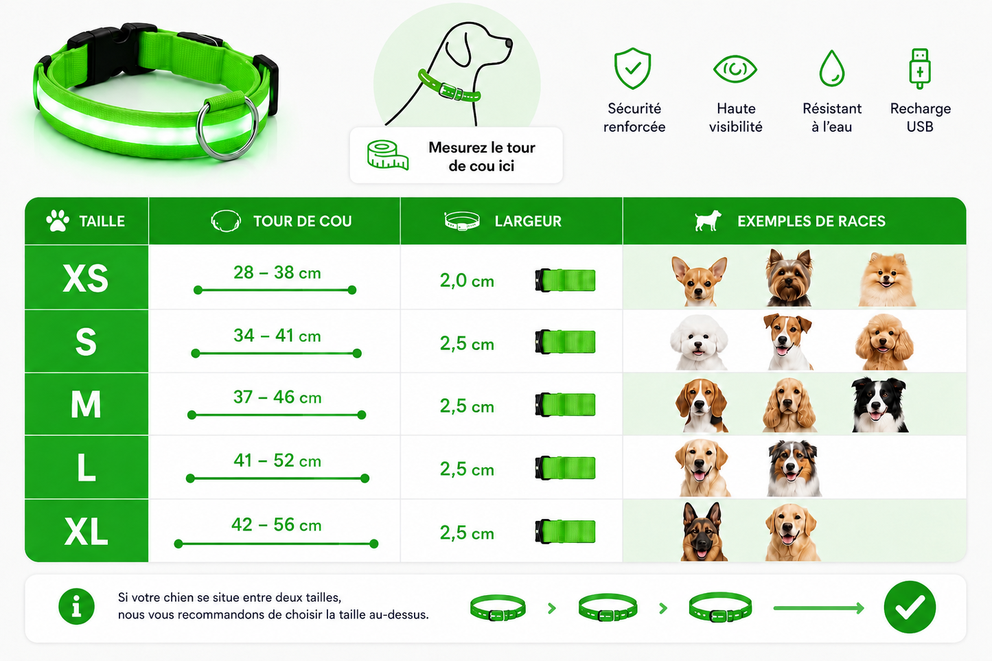 💚 LumiCollar™ – Collier LED Lumineux Vert pour Chien 🐾✨
