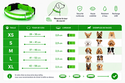 💚 LumiCollar™ – Collier LED Lumineux Vert pour Chien 🐾✨