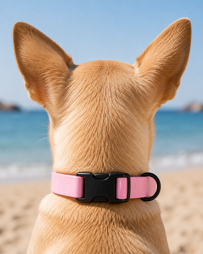 Collier Waterproof pour Chien - Couleur Rose Bonbon