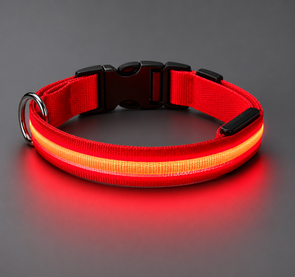❤️ LumiCollar™ – Collier LED Lumineux Rouge pour Chien 🐾✨