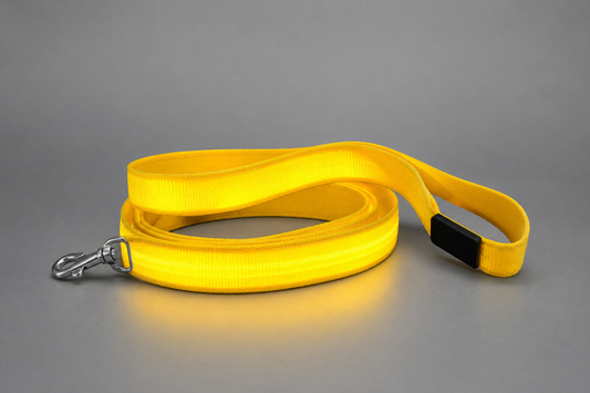 💛 LumiLeash™ – Laisse LED Lumineuse Jaune pour Chien 🐾✨