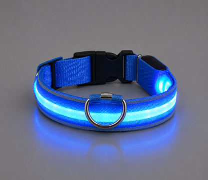 💙 LumiCollar™ – Collier LED Lumineux pour Chien 🐾✨