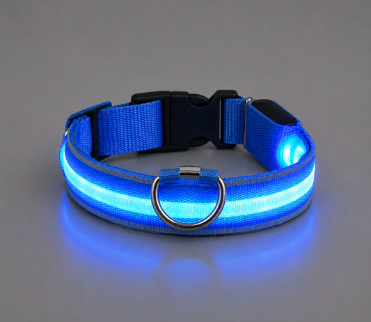 💙 LumiCollar™ – Collier LED Lumineux pour Chien 🐾✨