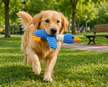 🐦 BlueDuck™ – Peluche Canard  pour Chien 💙🧸