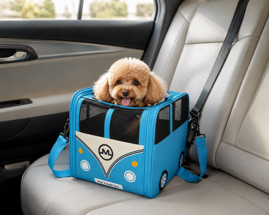 SAC DE TRANSPORTE INSPIRATION BUS - BLEU CLAIR