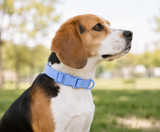 COLLIER POUR CHIEN WATERPROOF - BLEU CIEL