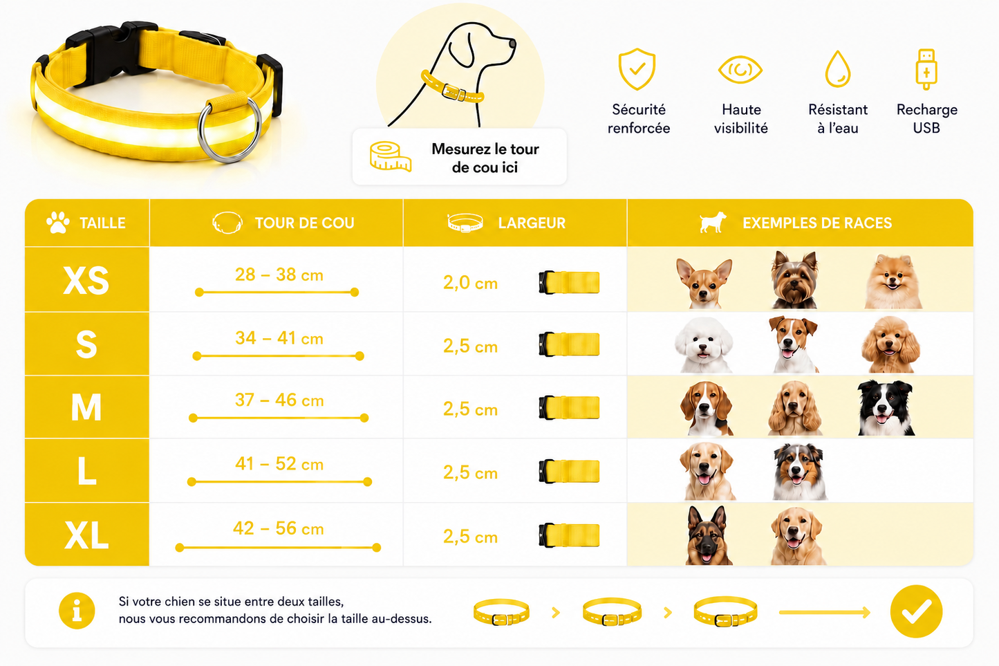 💛 LumiCollar™ – Collier LED Lumineux Jaune pour Chien 🐾✨