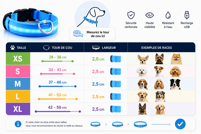 💙 LumiCollar™ – Collier LED Lumineux pour Chien 🐾✨
