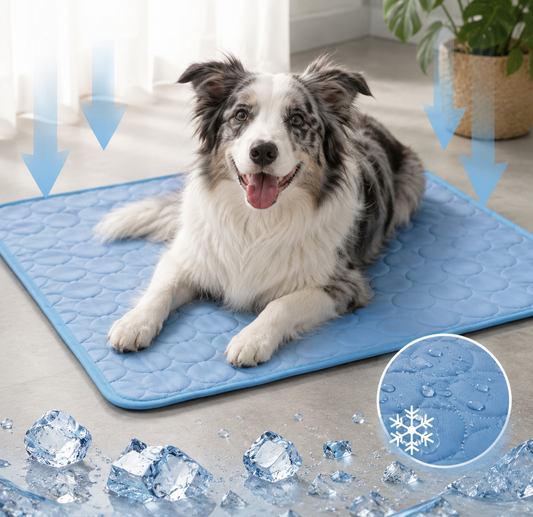 FrostPaw™ – Tapis Rafraîchissant Confort pour Chien ❄️🐾