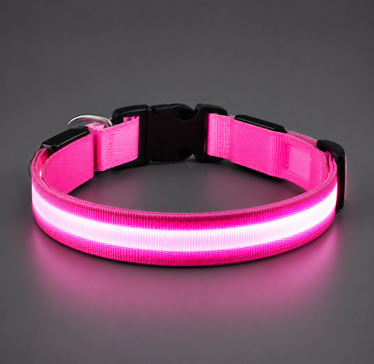 💖 LumiCollar™ – Collier LED Lumineux Rose pour Chien 🐾