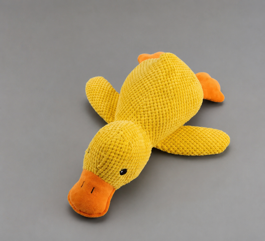 🐥 DuckBuddy™ – Peluche Canard pour Chien 💛🧸
