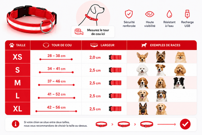 ❤️ LumiCollar™ – Collier LED Lumineux Rouge pour Chien 🐾✨