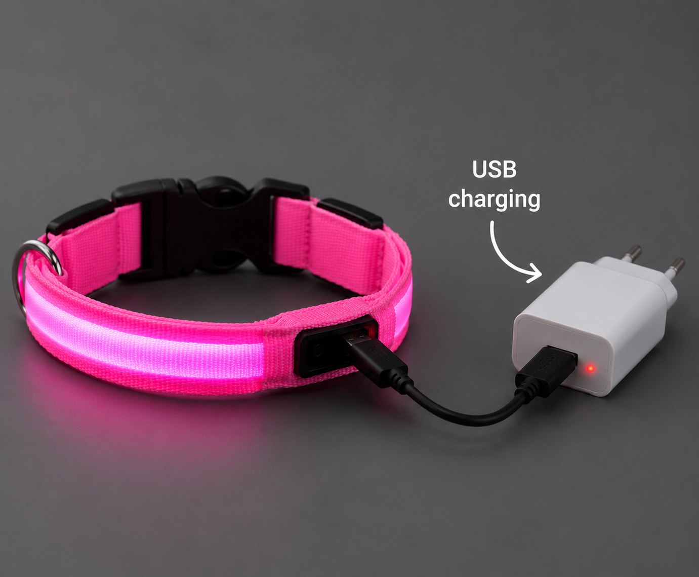 💖 LumiCollar™ – Collier LED Lumineux Rose pour Chien 🐾