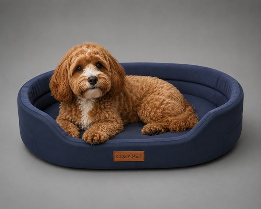 CozyNest™ – Panier Confort Premium pour Chien 🐶🛏️