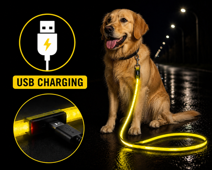 💛 LumiLeash™ – Laisse LED Lumineuse Jaune pour Chien 🐾✨