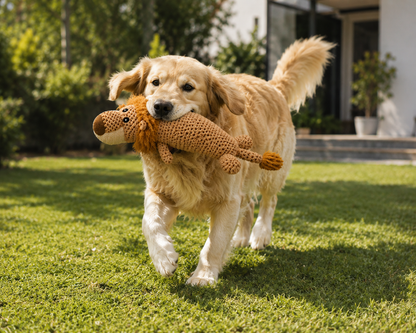 🦁 LionBuddy™ – Peluche Lion Douce pour Chien 🧡🐾