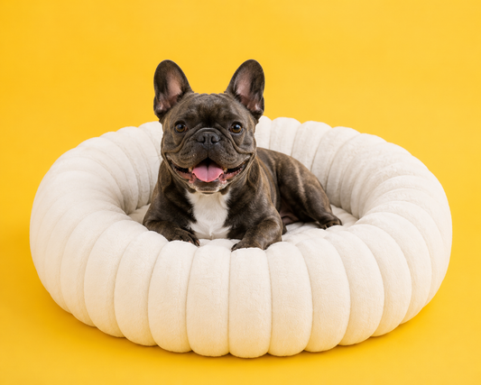 Coussin Cocoon Ultra Doux pour Chien 🐶☁️