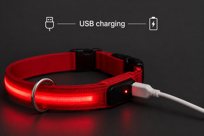 ❤️ LumiCollar™ – Collier LED Lumineux Rouge pour Chien 🐾✨
