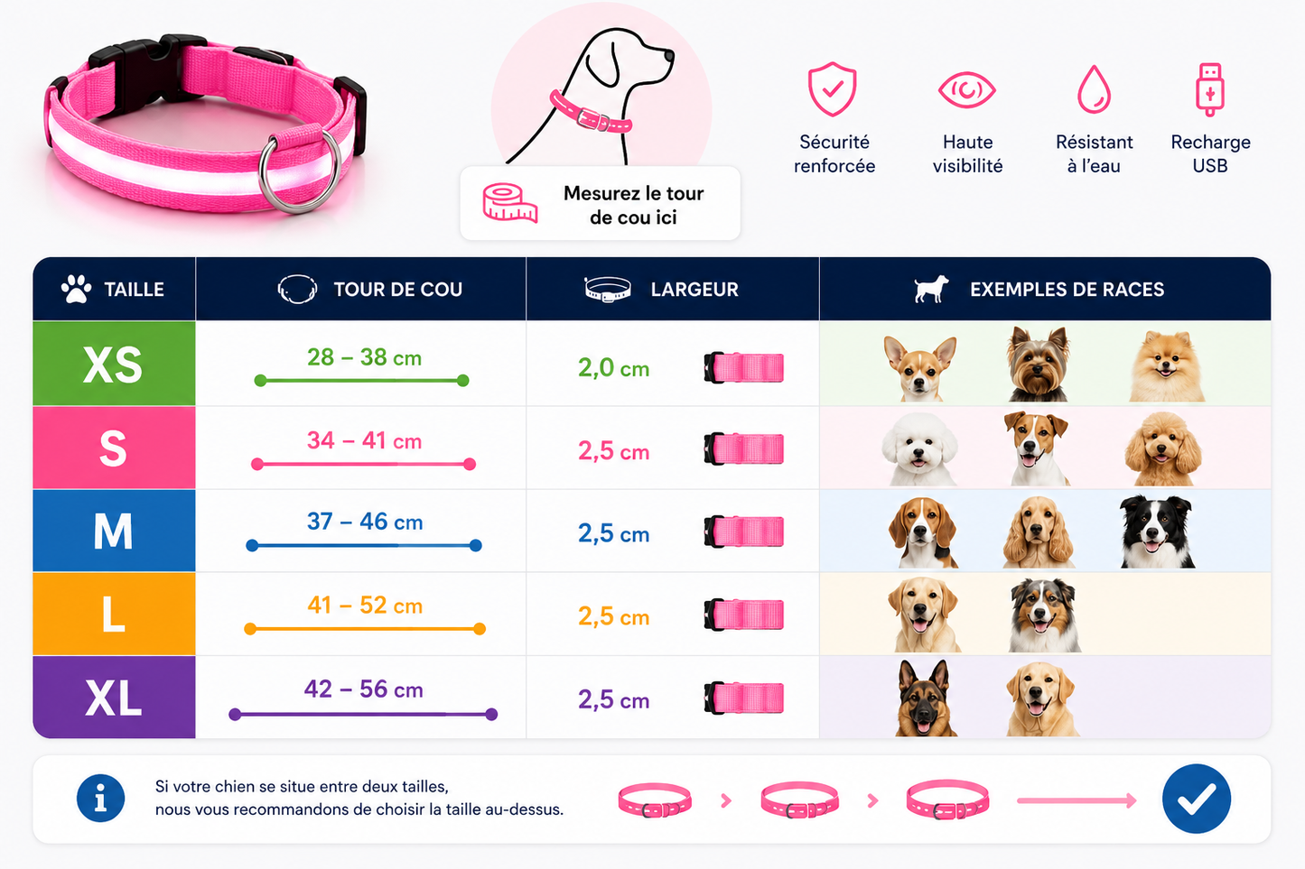💖 LumiCollar™ – Collier LED Lumineux Rose pour Chien 🐾