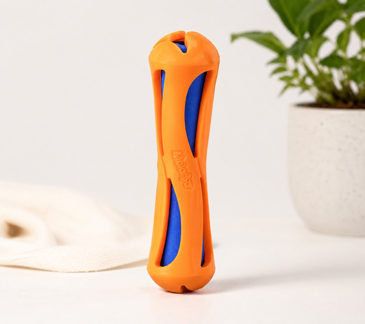 BÂTON FLOTTANT POUR CHIEN