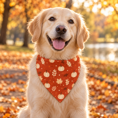 Chien portant le bandana Boo pendant une promenade d’automne