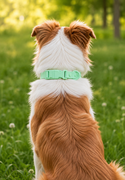 Collier Waterproof pour Chien - Couleur Menthe Givrée